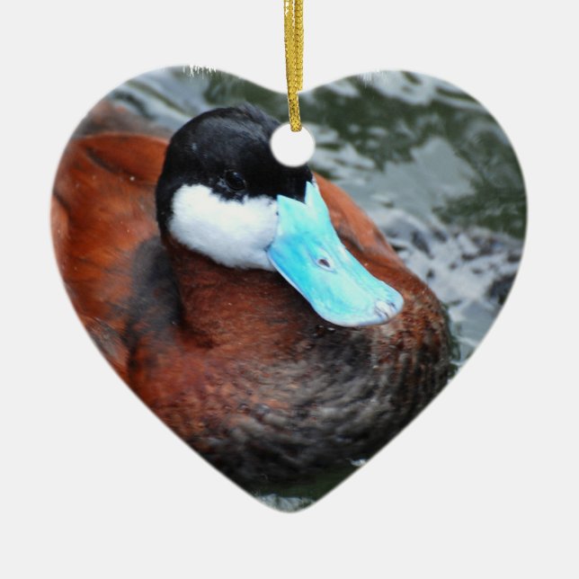 Ornements de canard affichés par bleu (Devant)