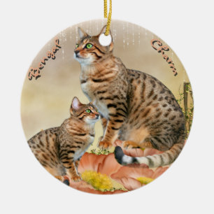 Ornements de chat du Bengale