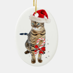 Ornements de chat du Bengale
