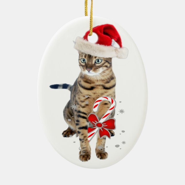 Ornements de chat du Bengale (Dos)