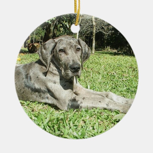 Ornements de chiot de great dane (Devant)