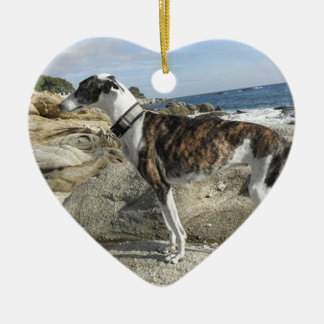 Ornements de lévrier (Devant)