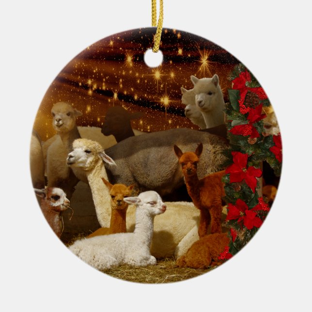Ornements de Noël d'alpaga (Devant)