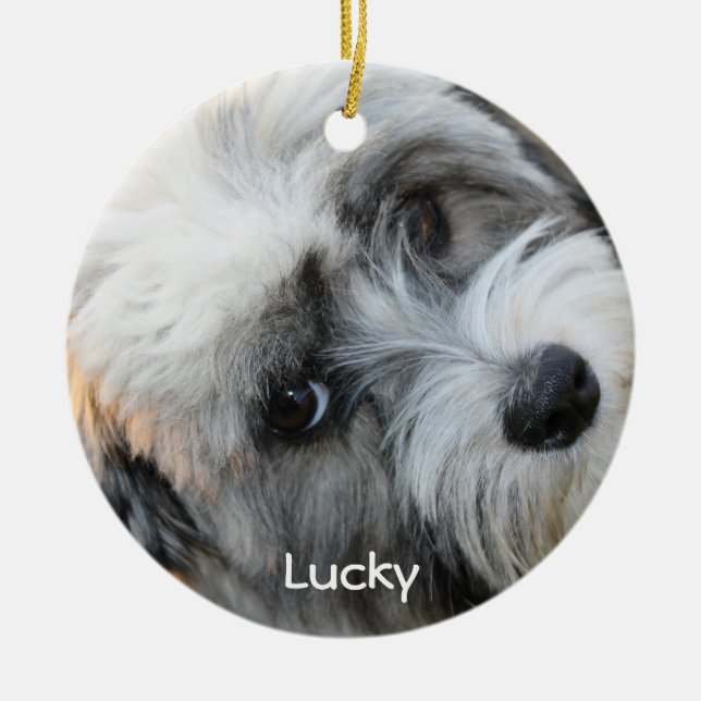 Ornements de Noël de chien avec votre photo person (Devant)