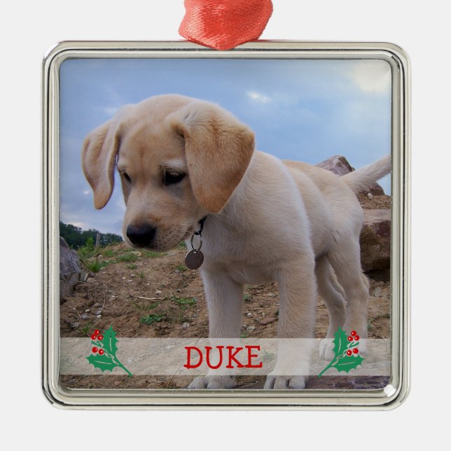 Ornements de Noël de chien Métal Photo personnalis (Devant)