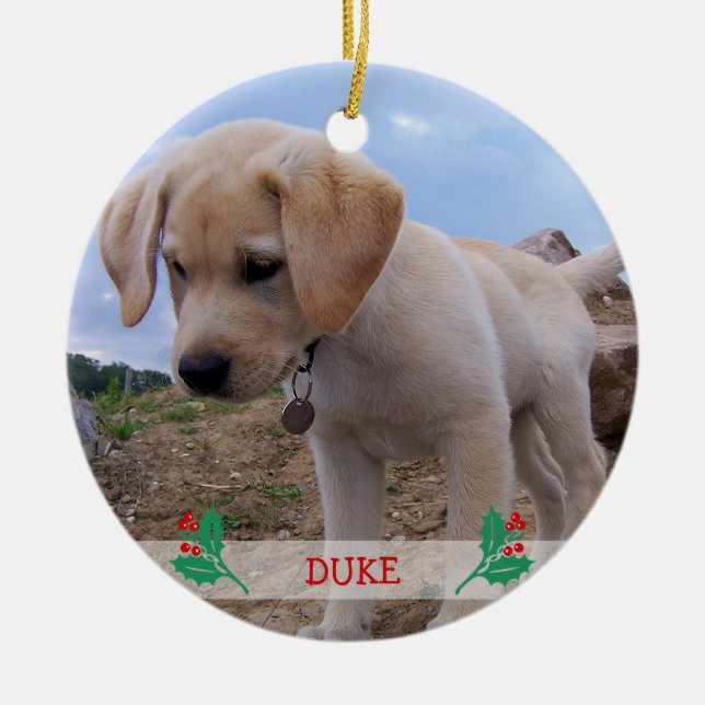 Ornements de Noël de chien Photo personnalisée (Devant)