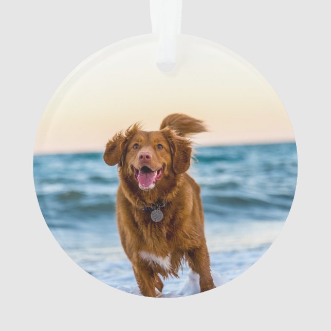 Ornements de Noël personnalisés pour animaux de co (dos)