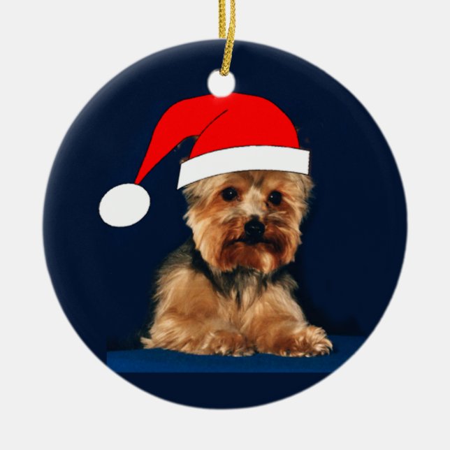 Ornements de Yorkie (Devant)