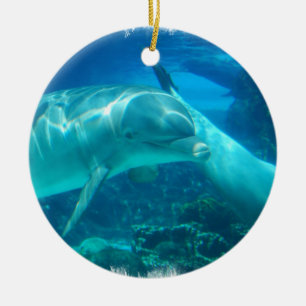 Ornements espiègles de dauphins