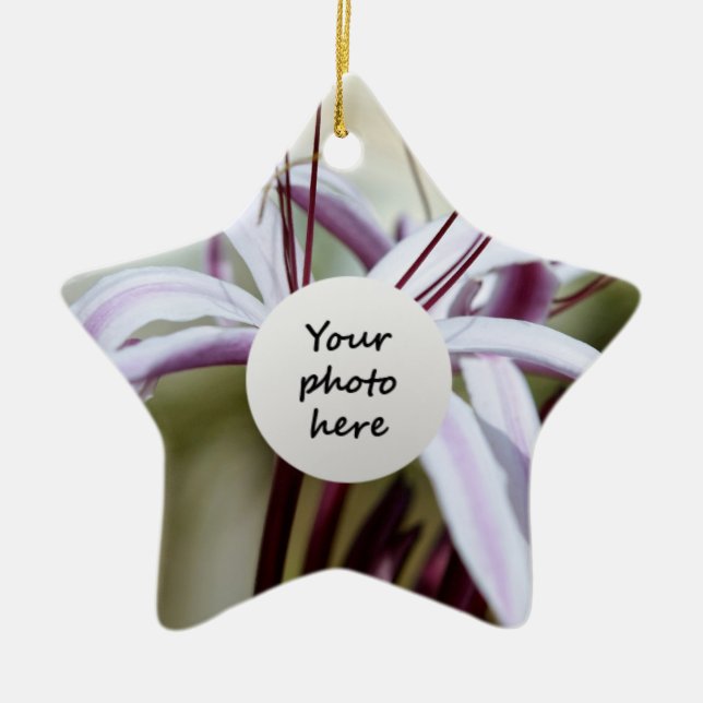 Ornements Lily (Devant)