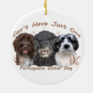 Ornements portugais de chien d'eau