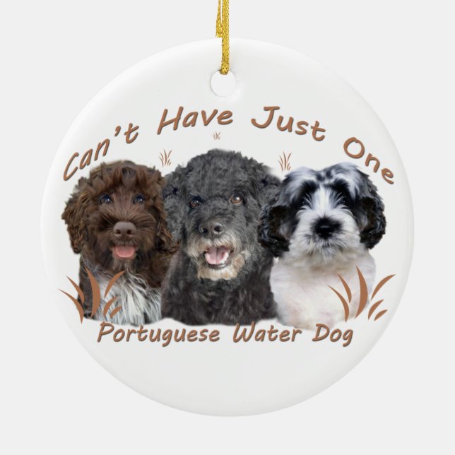 Ornements portugais de chien d'eau (Dos)