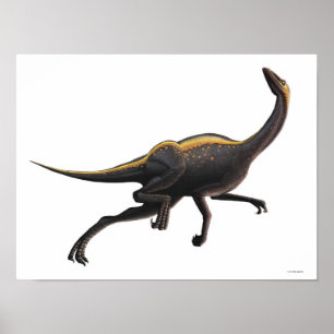 Ornithomimus Poster