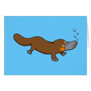 Ornithorynque canard-affiché par natation mignonn