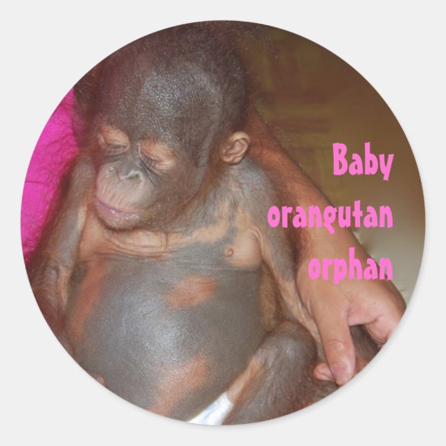 Orphan Baby Animals Orangutan Classic Round Sticker (Front)