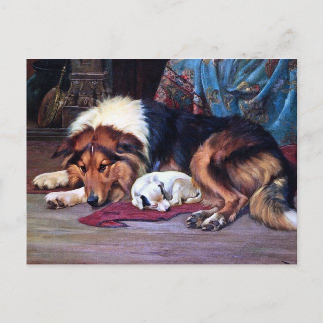 Orphan Dog with Collie Vintage Art Postcard (Front)