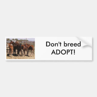 Orphan foals bumper sticker