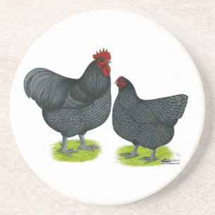 Orpington:  Blue Pair Coaster