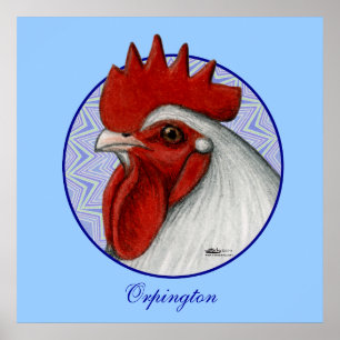 Orpington Head Circle Poster