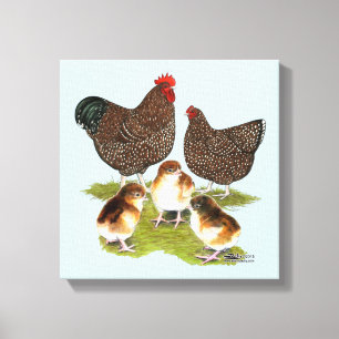 Orpington Jubilee Chicken Family Canvas Print