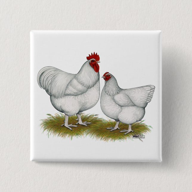 Orpington:  White Pair 2 Inch Square Button (Front)