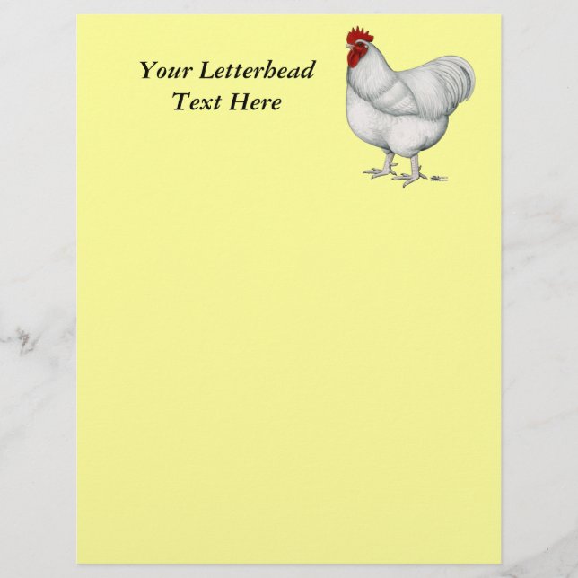 Orpington White Rooster (Front)