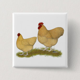 Orpingtons Lemon Cuckoo 2 Inch Square Button