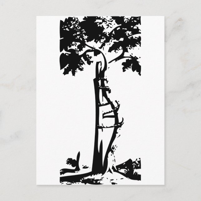 Orthopedic Crooked Tree Postcard (Front)