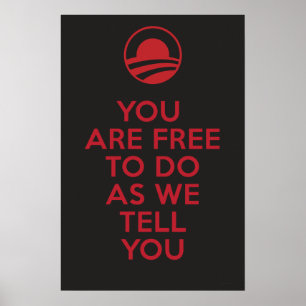 Orwellian Obama 2 Poster