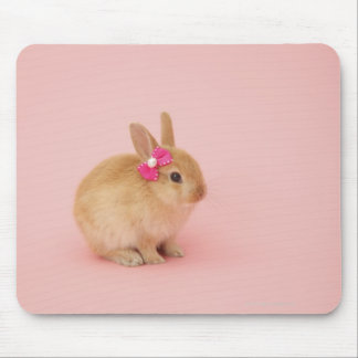 Oryctolagus cuniculus 2 mouse pad