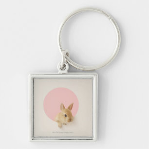 Oryctolagus cuniculus 3 keychain