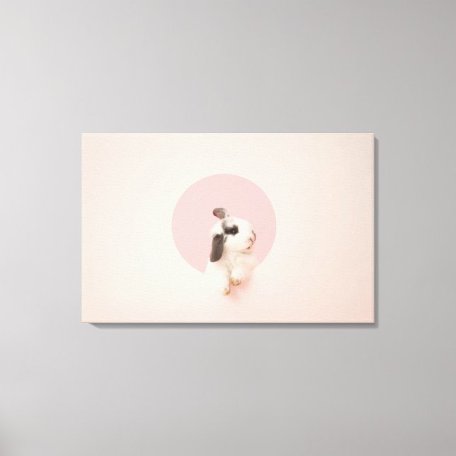 Oryctolagus cuniculus canvas print (Front)