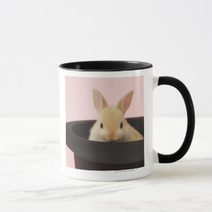Oryctolagus cuniculus mug