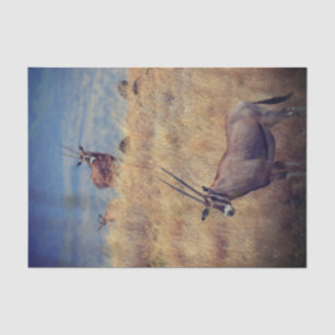 Oryx in Africa Tissue Paper