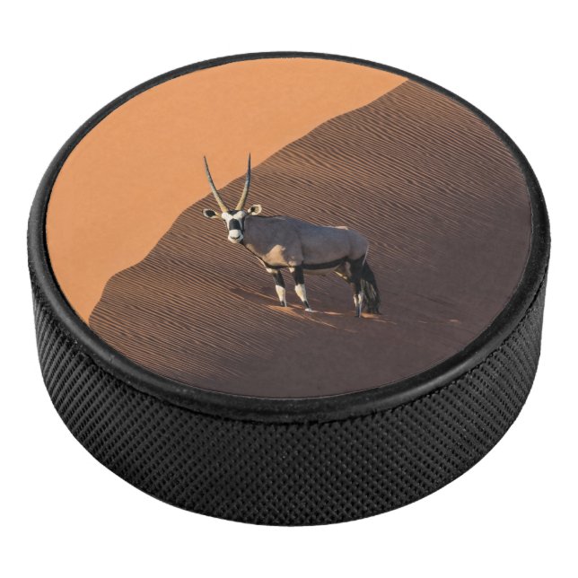 Oryx on the edge, Namibia Hockey Puck (3/4)