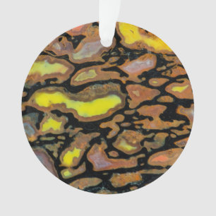 Os de dinosaure multicolore