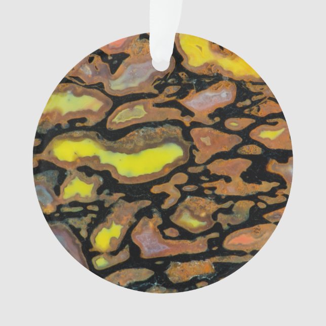 Os de dinosaure multicolore (devant)