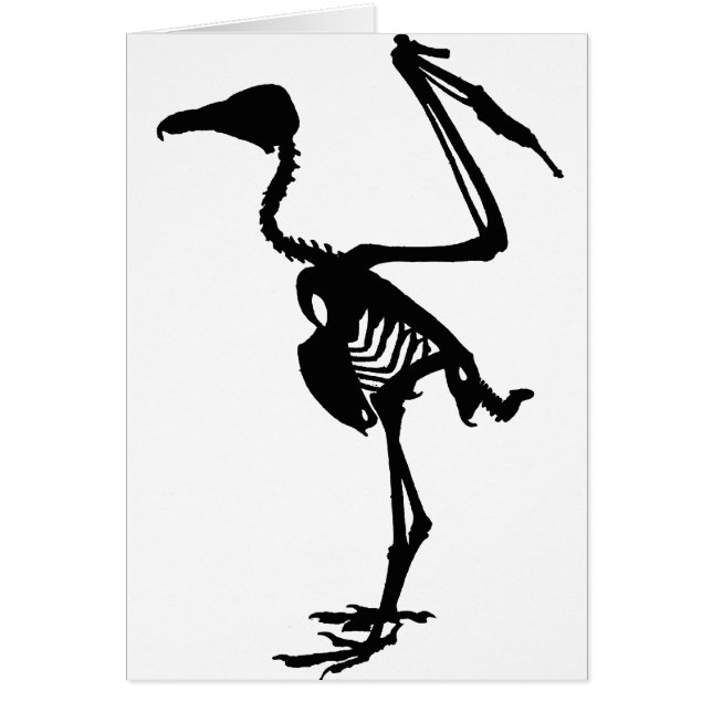 Os de vautour (Devant)