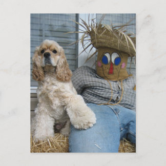 Oscar and Phil Postcard