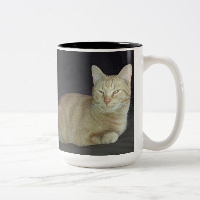 Oscar Cat Portrait Mug (Right)