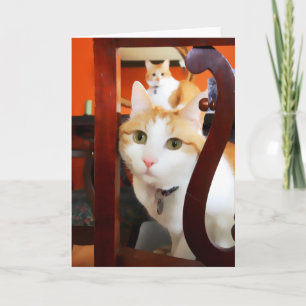 OSCAR & ERNIE heARTcats Card