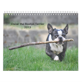 Oscar the Boston Terrier 2013 calender Calendar