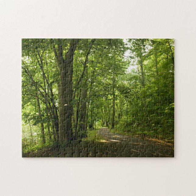 Osceola Island, Weir - Bristol TN puzzle (Horizontal)