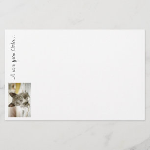 Oslo Stationary Stationery