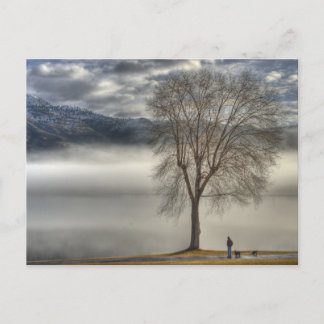 Osoyoos Walking the dog Postcard