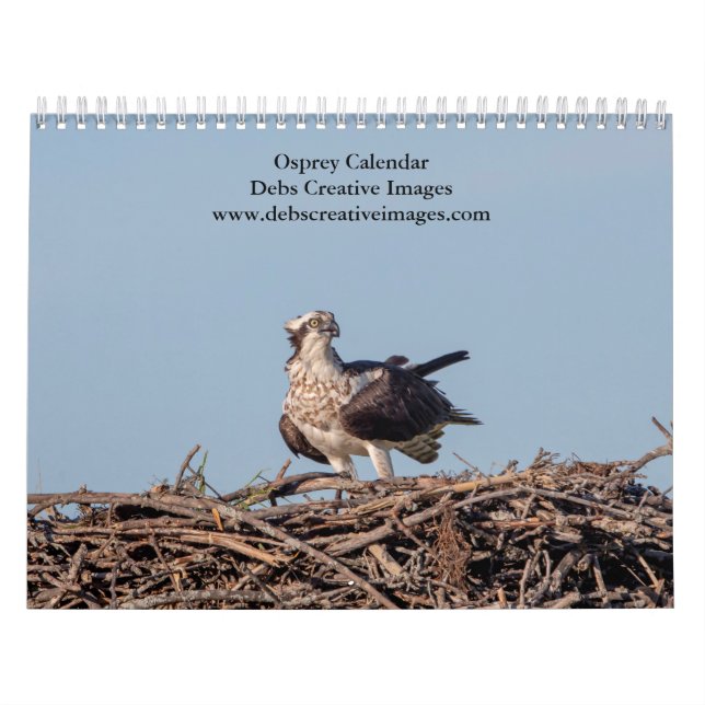 Osprey 2026 calendar (Cover)