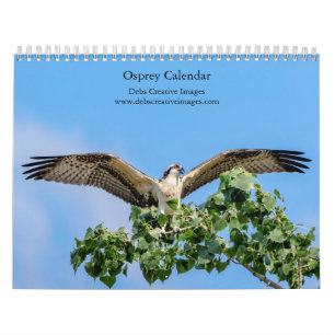 Osprey 2026 calendar