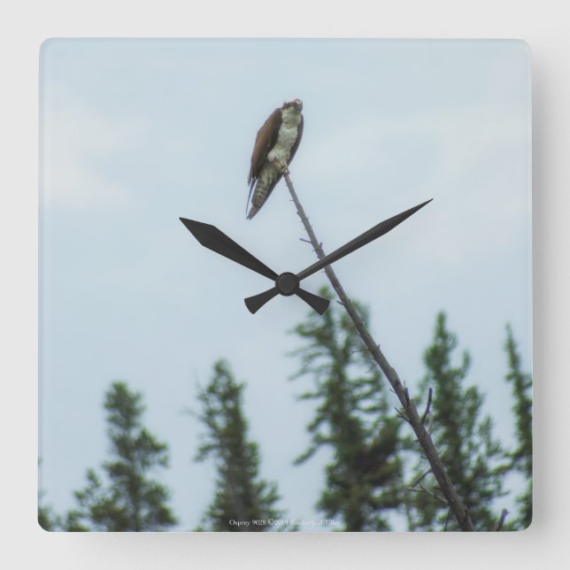 Osprey 9028 square wall clock (Front)