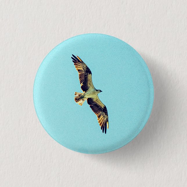 Osprey art 1 inch round button (Front)