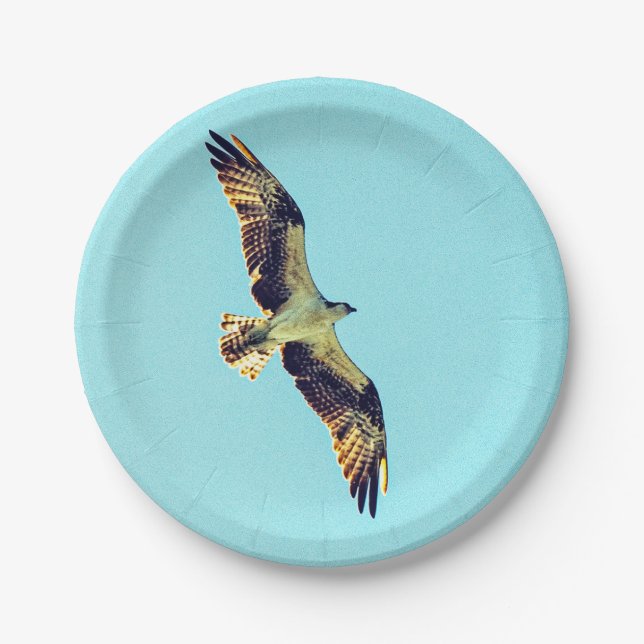 Osprey art paper plate (Front)